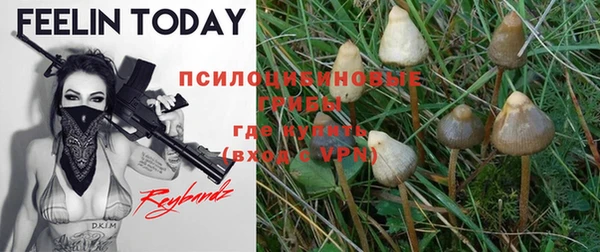 MESCALINE Алзамай