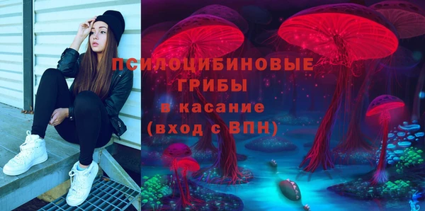 стаф Алексеевка