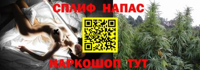 гидра Абакан
