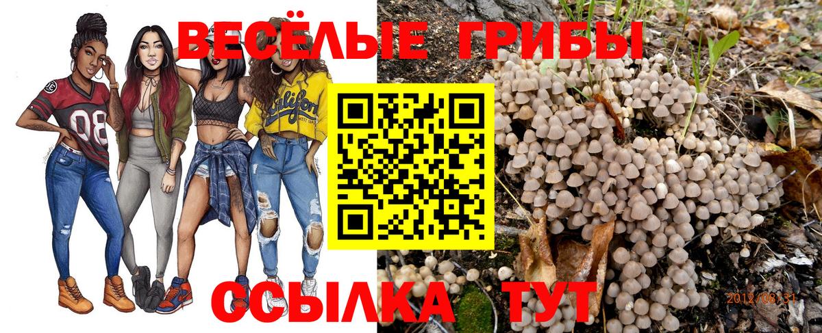 Галлюциногенные грибы Psilocybine cubensis  наркотики  Псилоцибиновые грибы мицелий  Анжеро-Судженск  Вход с VPN 